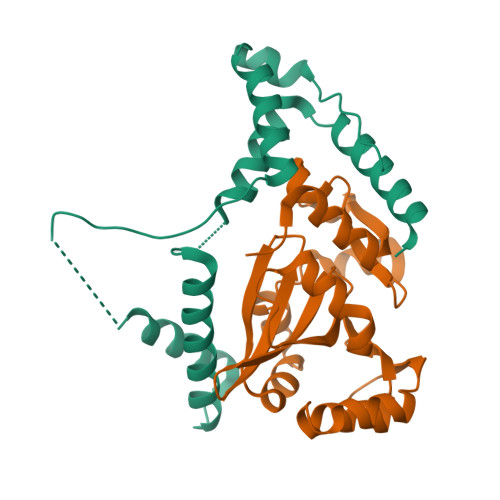 Structure 11UZ