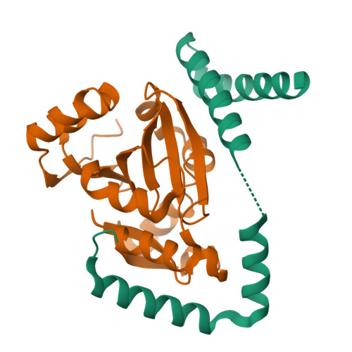 Structure 11VD