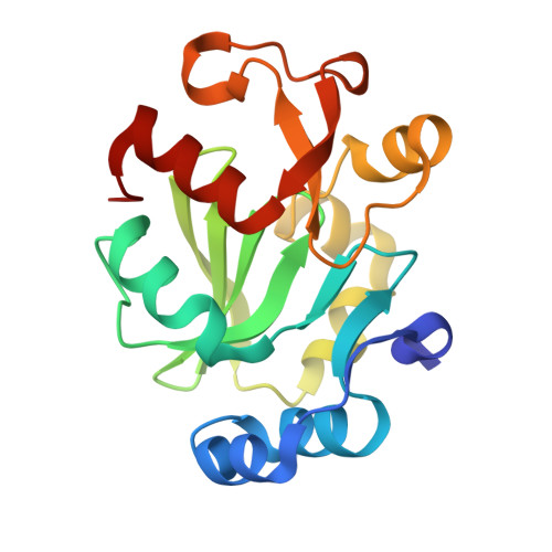 Structure 11VH