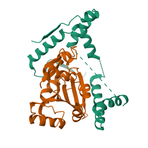 Structure 11VK