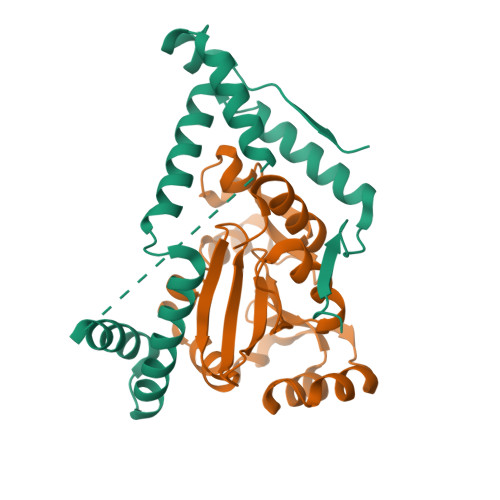 Structure 11VL