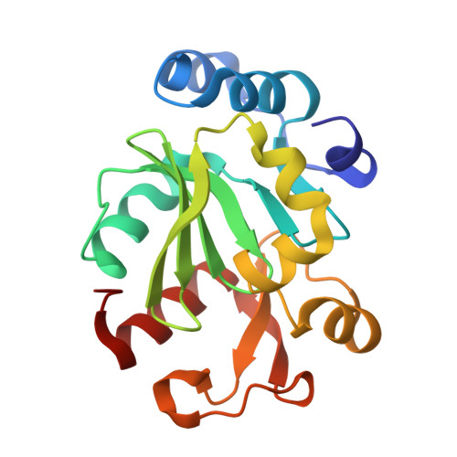Structure 11VM