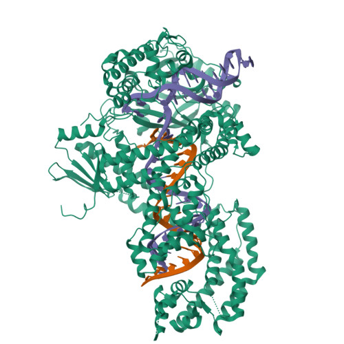 Structure 11VQ