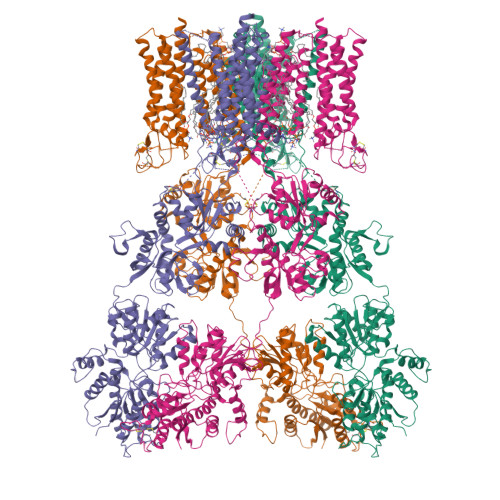 Structure 11VV