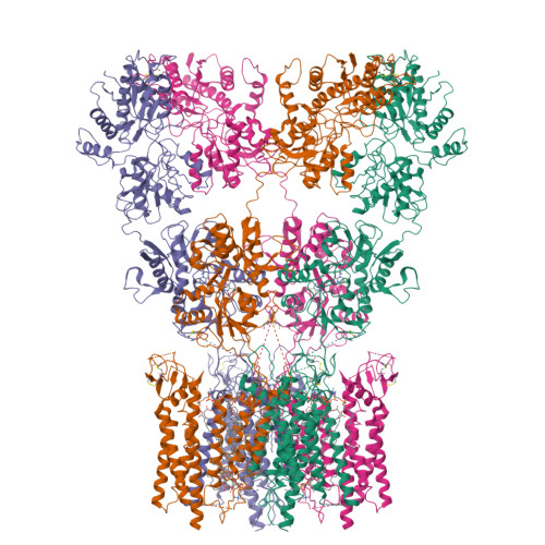 Structure 11VX