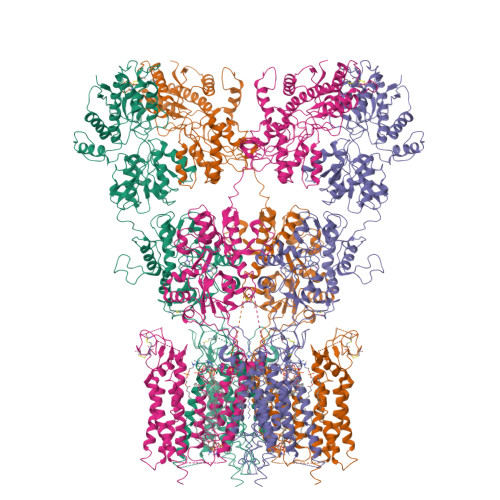 Structure 11VY