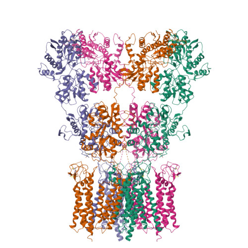 Structure 11VZ