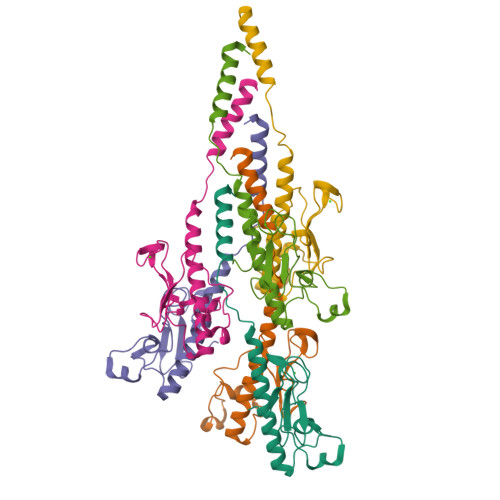 Structure 11XB