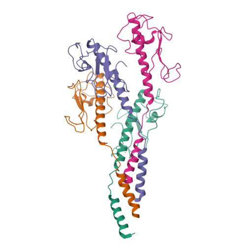 Structure 11XC