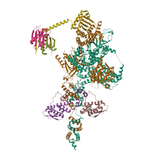 Structure 11XU