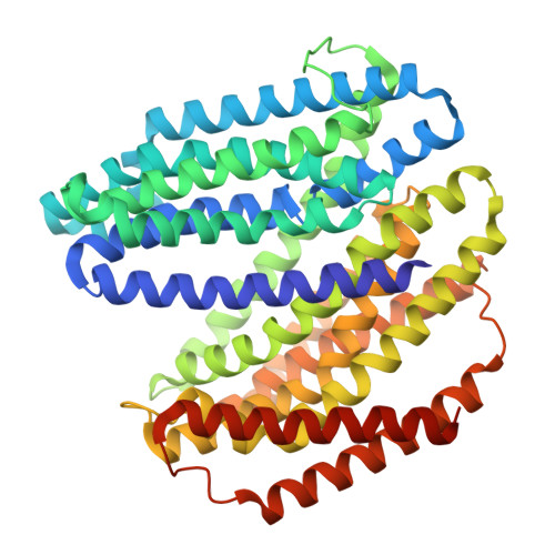 Structure 11XY