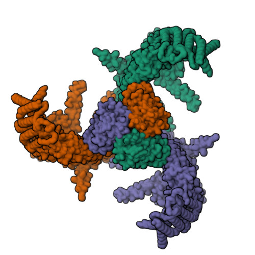Piezo-type mechanosensitive ion channel component 1 structure