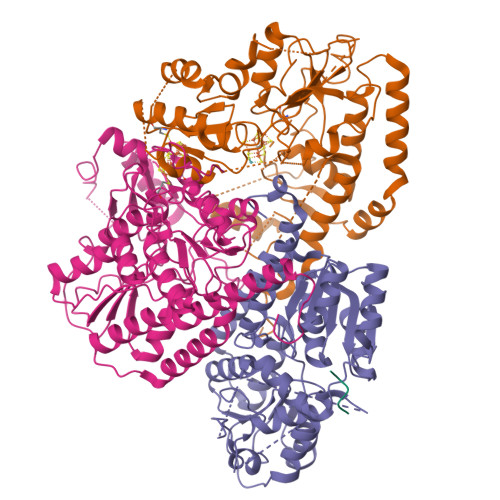 Structure 11ZK
