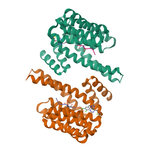 Structure 11ZU