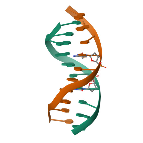 RCSB PDB - 122D: DNA HELIX STRUCTURE AND REFINEMENT ALGORITHM: COMPARISON  OF MODELS FOR D(CCAGGCM==5==CTGG) DERIVED FROM NUCLSQ, TNT, AND X-PLOR