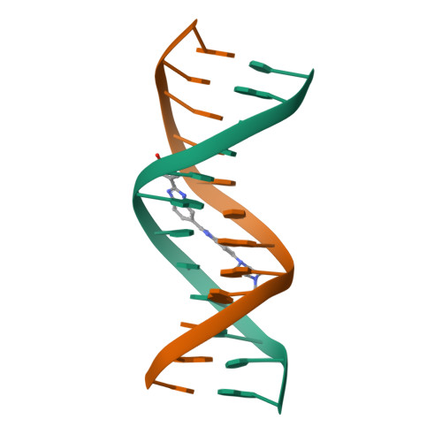 Double helix structure of DNA | Download Scientific Diagram
