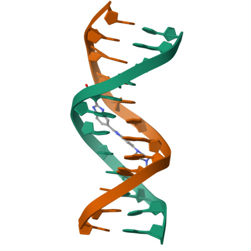 Double helix structure of DNA | Download Scientific Diagram