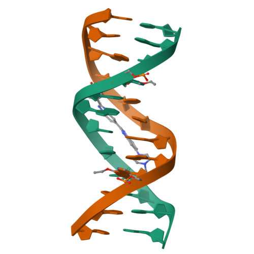 3d dna replication model