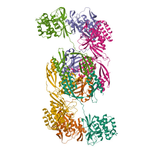 Structure 12BI