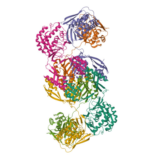 Structure 12BJ