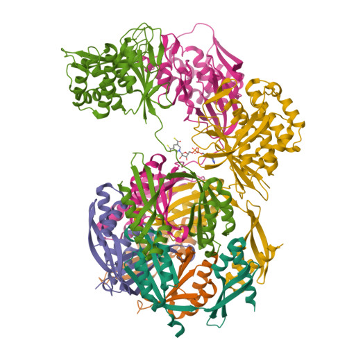 Structure 12BL