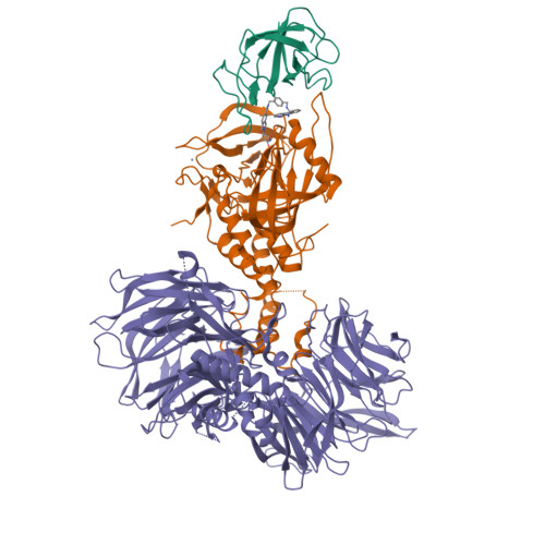 Structure 12BP