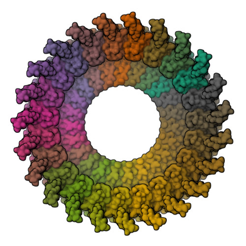 Structure 12DS