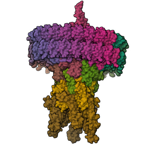 Structure 12DU
