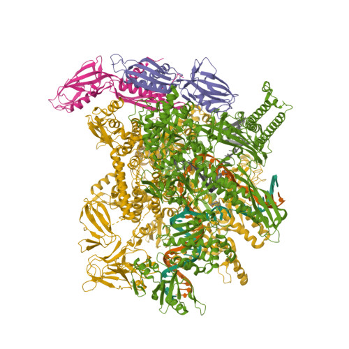 Structure 12EC