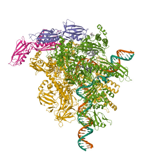 Structure 12EI