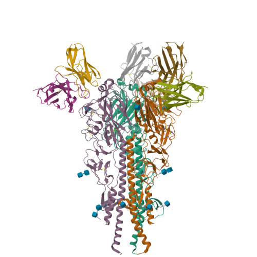 Structure 12ID