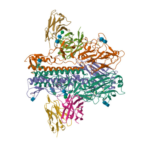 Structure 12IF