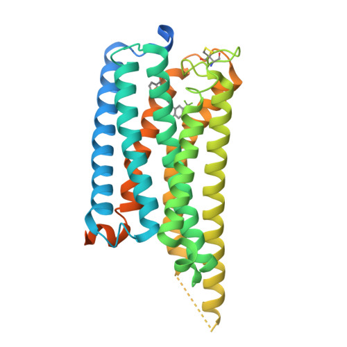 Structure 12IY