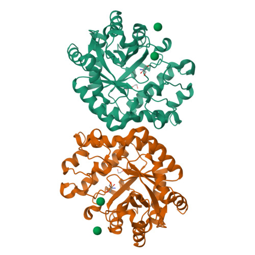 Structure 12NR