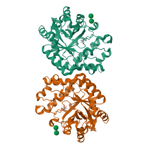 Structure 12NS