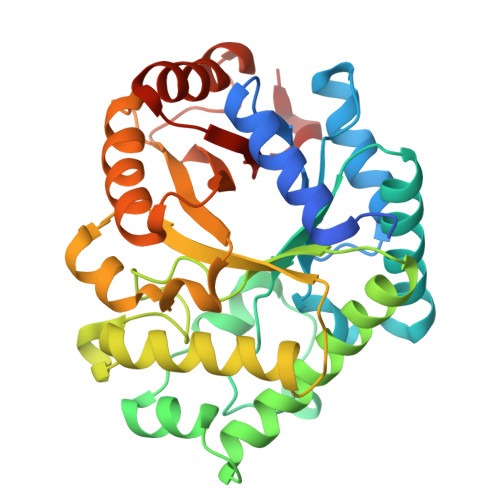 Structure 12NX