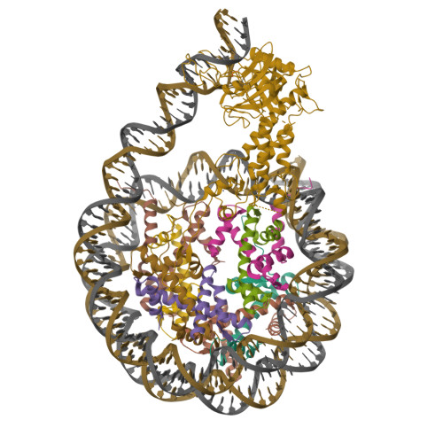 Structure 12OG