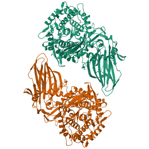 Structure 12RI