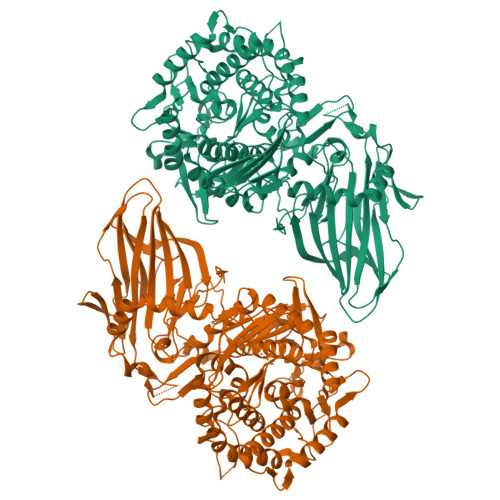 Structure 12RJ