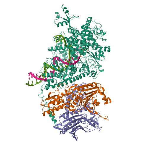 Structure 12SL