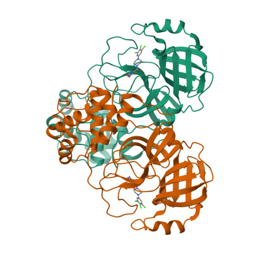 Structure 12SV
