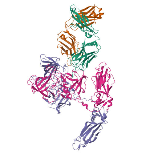Structure 12TP