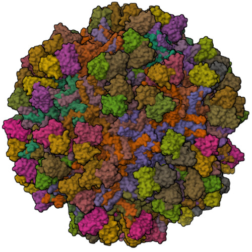 Structure 12UT