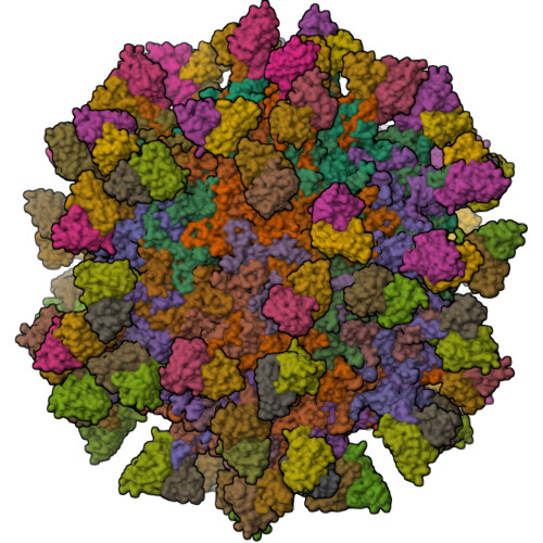 Structure 12UV