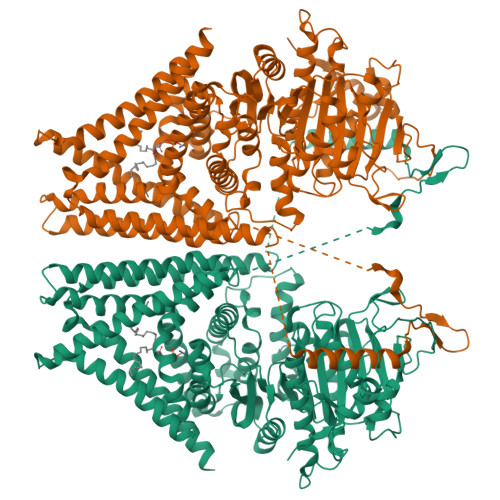 RCSB PDB - 12XF: Structure of Class II chitin synthase, Chs1, from