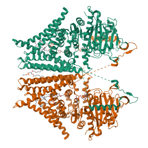 Structure 12XK