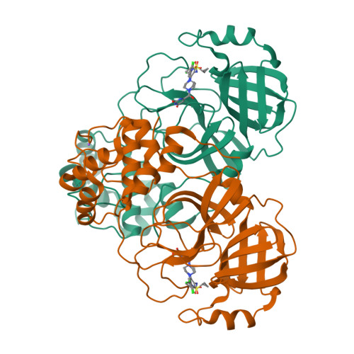 Structure 12YF