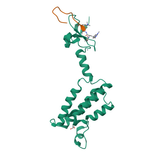 Structure 12YU