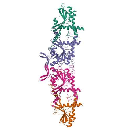 Structure 12ZN