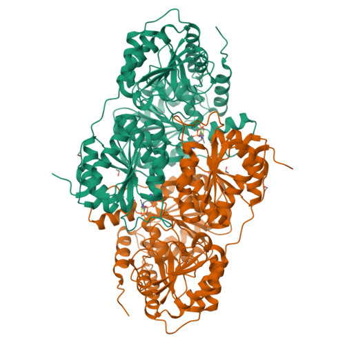 Structure 13BB